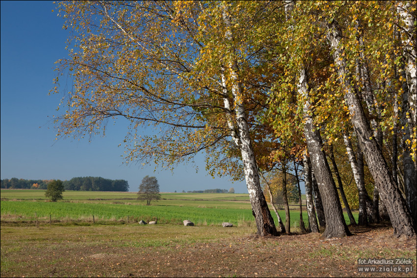 Polski krajobraz